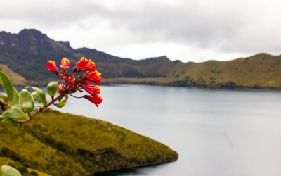 Cancillería logra la designación de Ecuador como miembro de la Junta del Fondo Verde para el clima