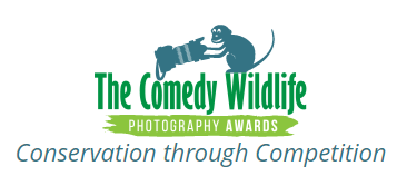 Comedy Wildlife Photography Awards