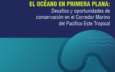 Latinclima: El océano en primera plana: curso para periodistas explorará los desafíos y oportunidades del Corredor Marino del Pacífico Este Tropical.